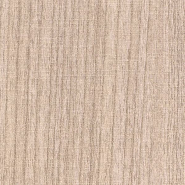Betula Paris